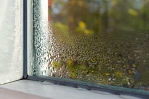 a humid home collecting moisture on a window